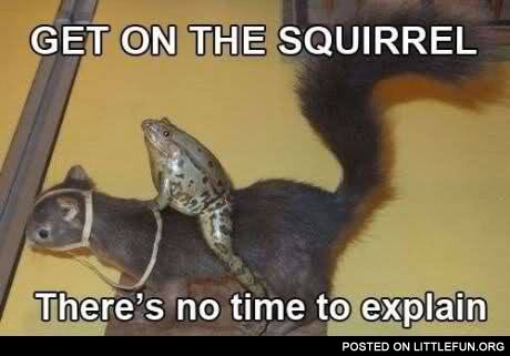 Frog on the squirrel. No time to explain.