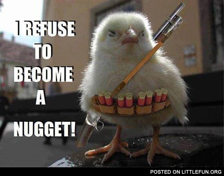 I refuse to become a nugget