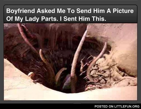 Boyfriend asked me to send him a picture of my lady parts