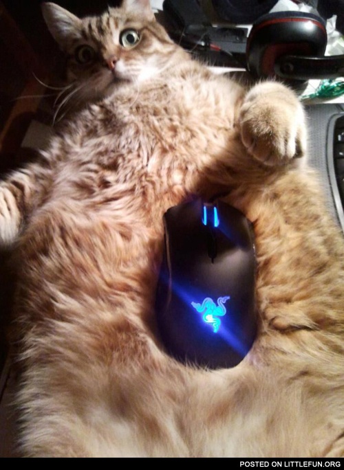 Extra fluffy mouse pad