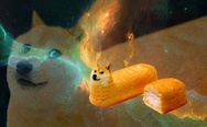 Doge in space