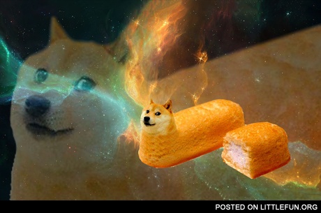 Doge in space
