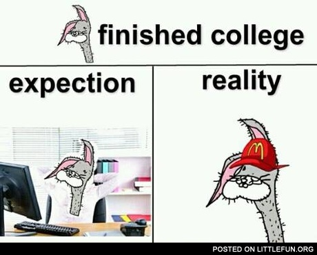 Finished college