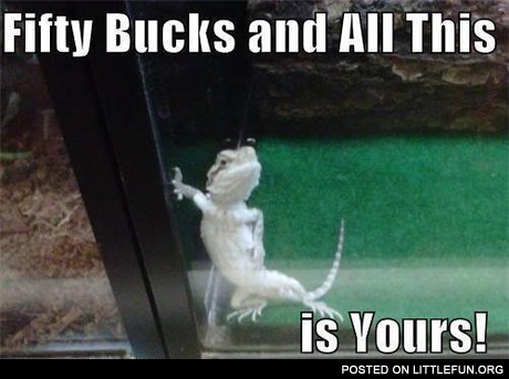 Sexy lizard. Just fifty bucks and all this is yours.