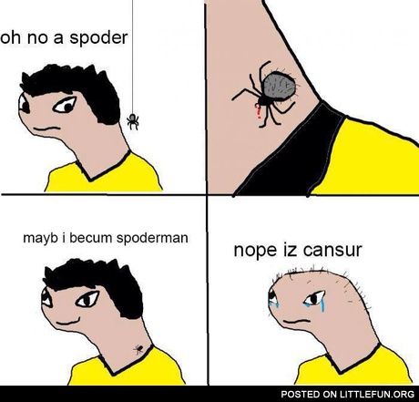 Oh no, a spoder