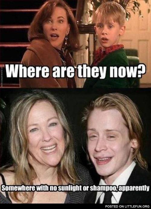 Where are they now? Somewhere with no sunlight or shampoo.