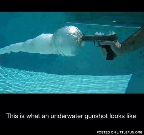 This is what an underwater gunshot looks like