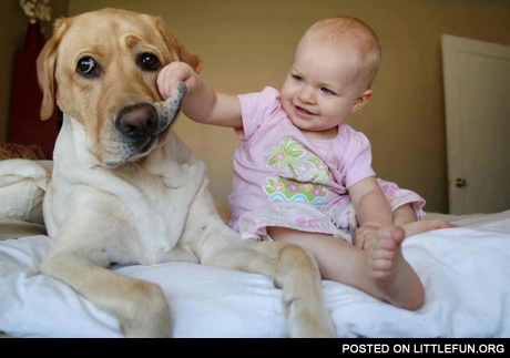Baby and dog