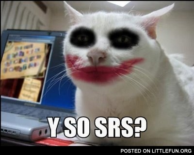 Joker cat. Why so serious?