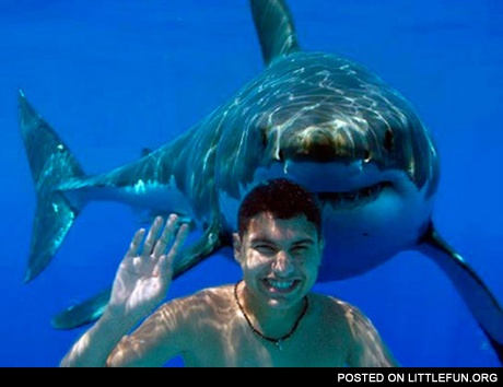 Smiling guy and a shark