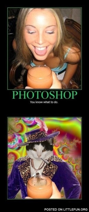 Photoshop you know what to do