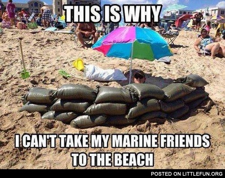 This is why I can't take my marine friends to the beach