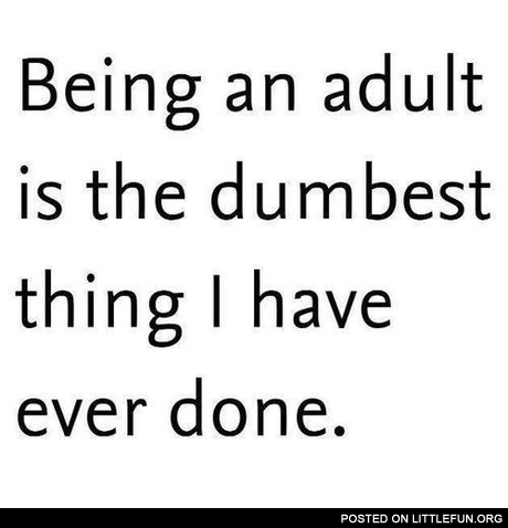 Being an adult is the dumbest thing I have ever done