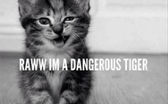 Raww, I'm such a dangerous tiger
