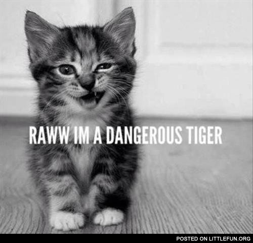 Raww, I'm such a dangerous tiger