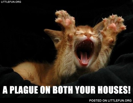 A plague on both your houses