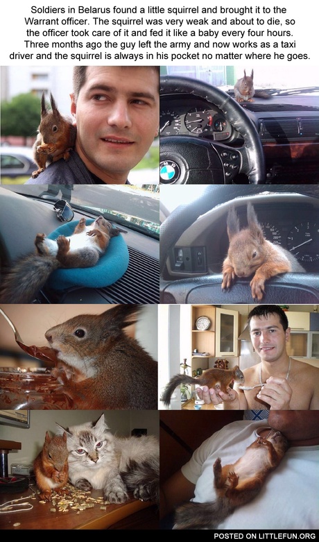 Taxi driver and squirrel
