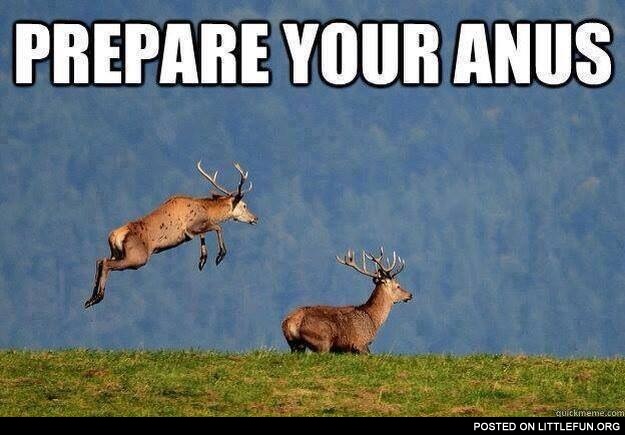 Prepare your anus, deer