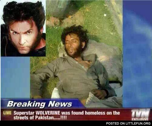Wolverine in Pakistan