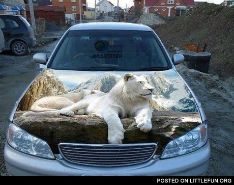 Cool car aerography