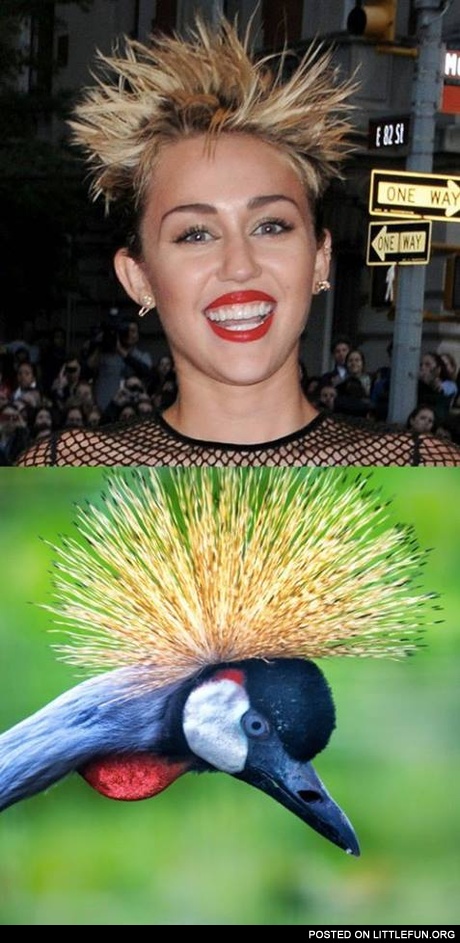 Miley Cyrus and crowned crane