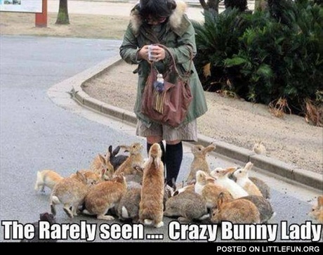 Crazy bunny lady