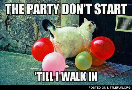 The pary don't start 'till I walk in
