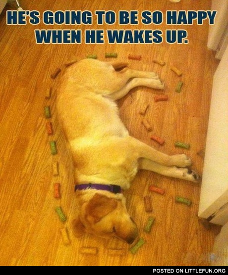 He is going to be so happy when he wakes up