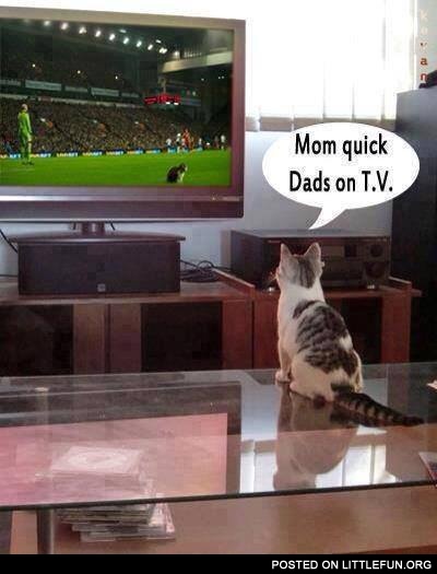 Mom, quick, dad is on TV