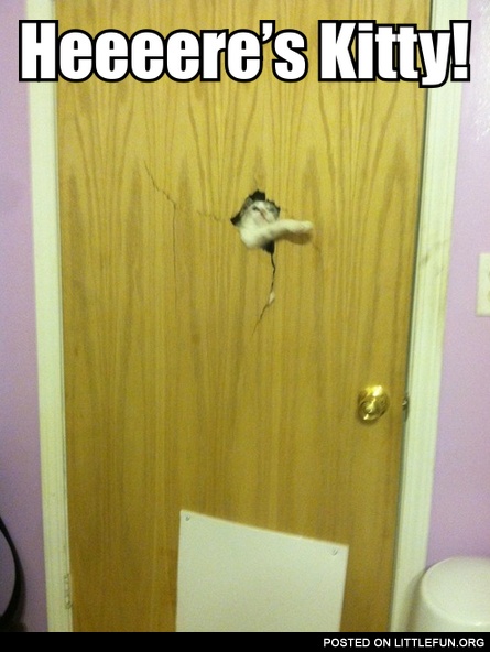 Here's kitty!