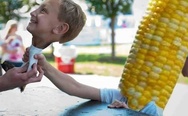 Corn boy
