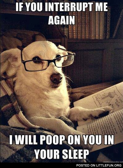 If you interrupt me again