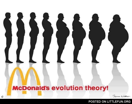 McDonald's evolution theory