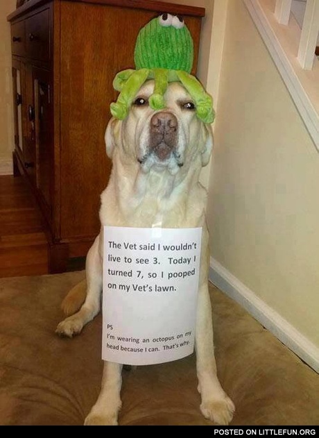 The Vet said I wouldn't live to see 3