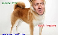 Doge Nicolas Cage