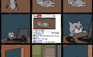 Cat and YouTube