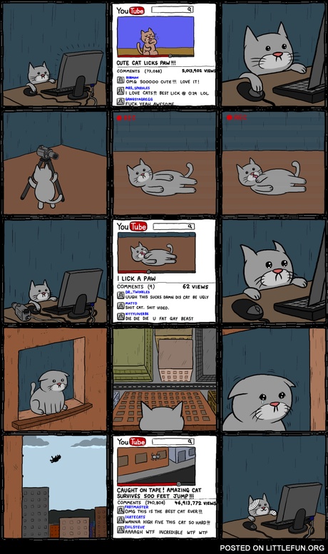 Cat and YouTube