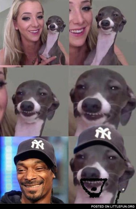 Snoop Dog is a real dog