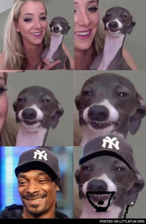 Snoop Dog is a real dog