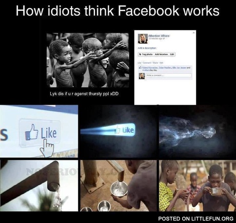 How idiots think their likes works