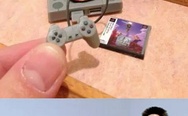 PS1 for ants
