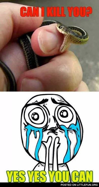 Can I kill you?