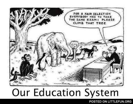 Our education system