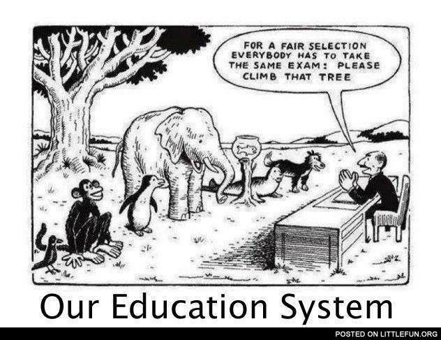 Our education system