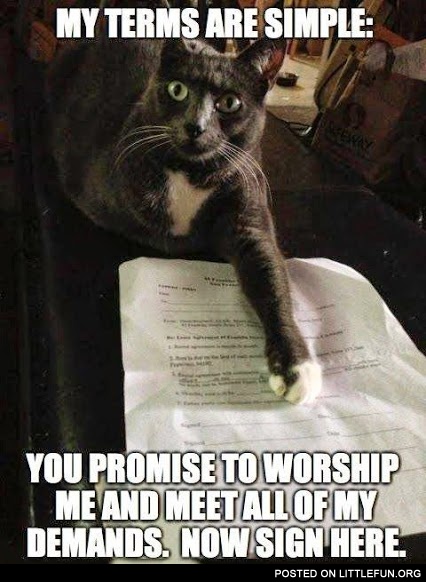 My terms are simple