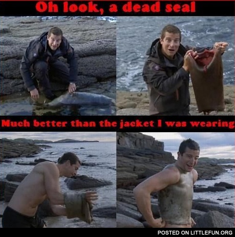 Bear Grylls. Oh look, a dead seal! Much better than the jacket I was wearing.