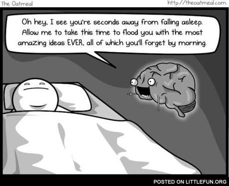 Scumbag brain