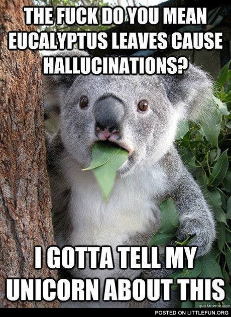 Eucalyptus leaves cause hallucinations