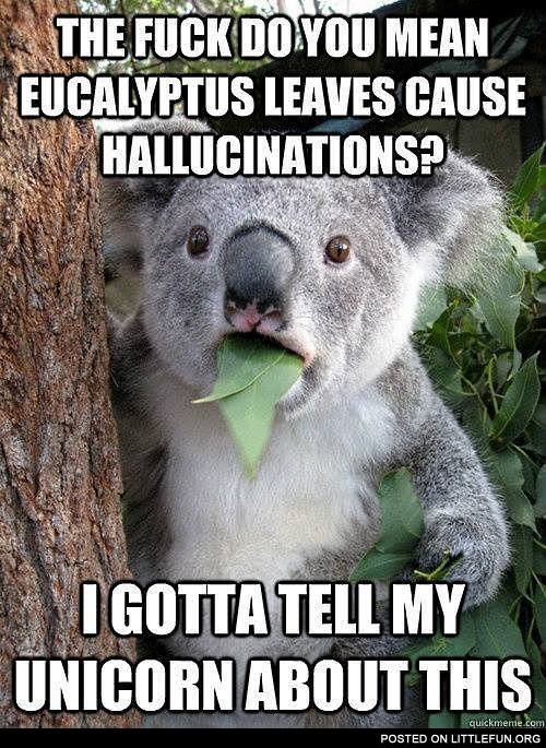 Eucalyptus leaves cause hallucinations