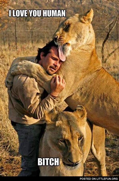 Lions and human